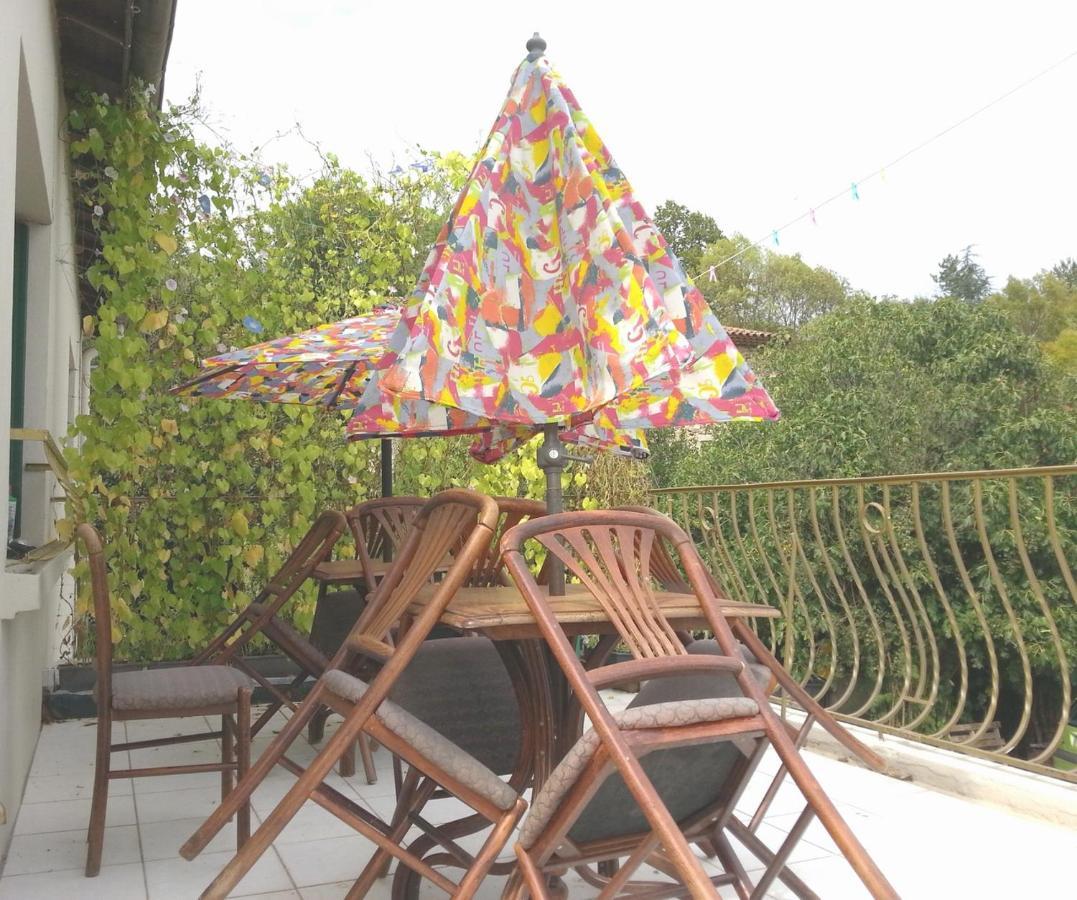 Villa Les Martinets-Piscine-Jacuzzi-Voie Verte-Gorges D'Heric-Massif Du Caroux Mons Olargues 34600 Le Poujol-sur-Orb エクステリア 写真