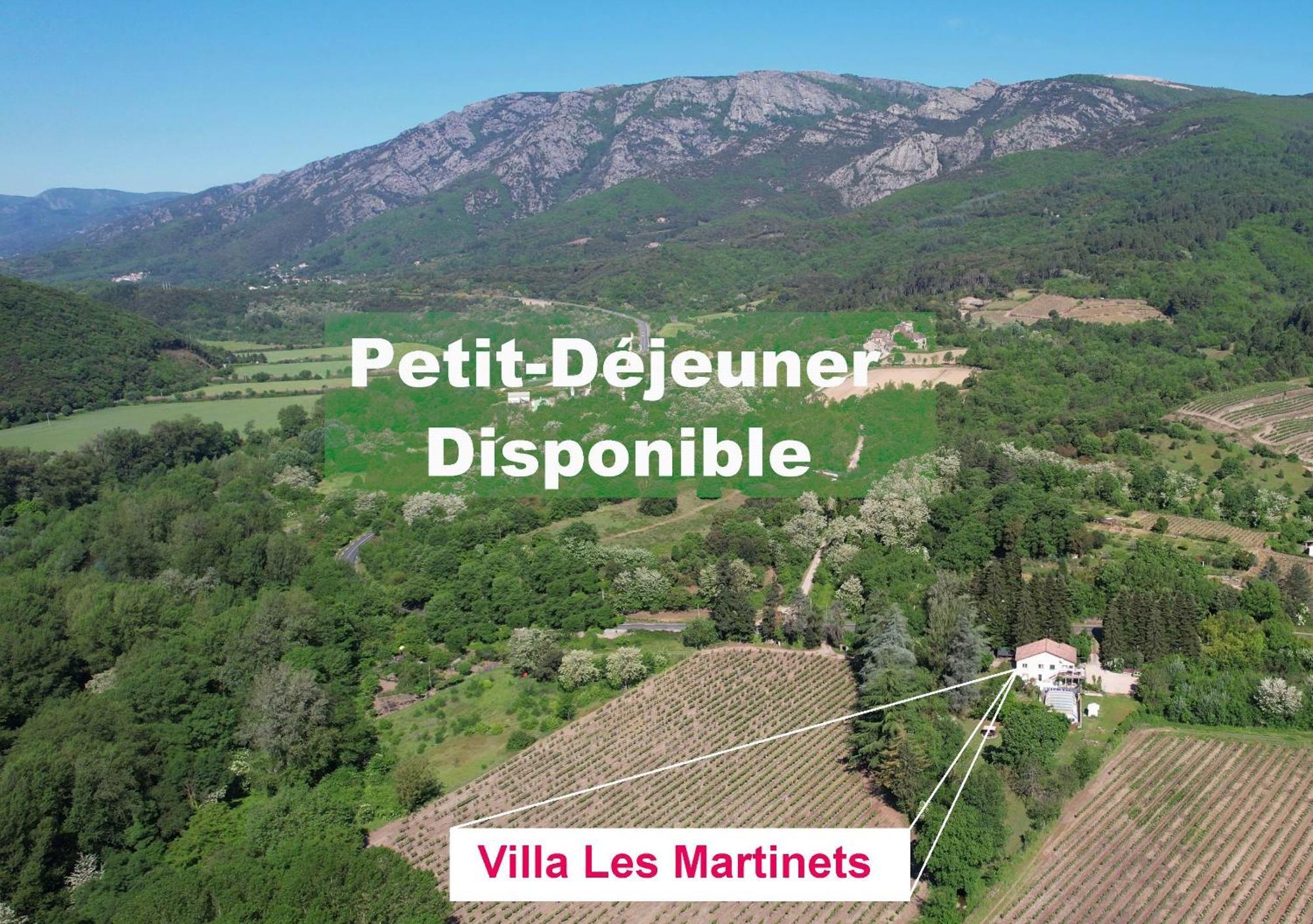 Villa Les Martinets-Piscine-Jacuzzi-Voie Verte-Gorges D'Heric-Massif Du Caroux Mons Olargues 34600 Le Poujol-sur-Orb エクステリア 写真